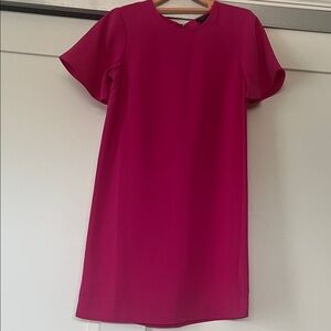 Ann Taylor Fuchsia Mini Dress